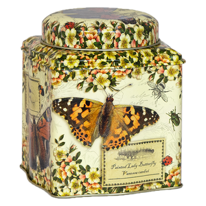 VINTAGE BUTTERFLY