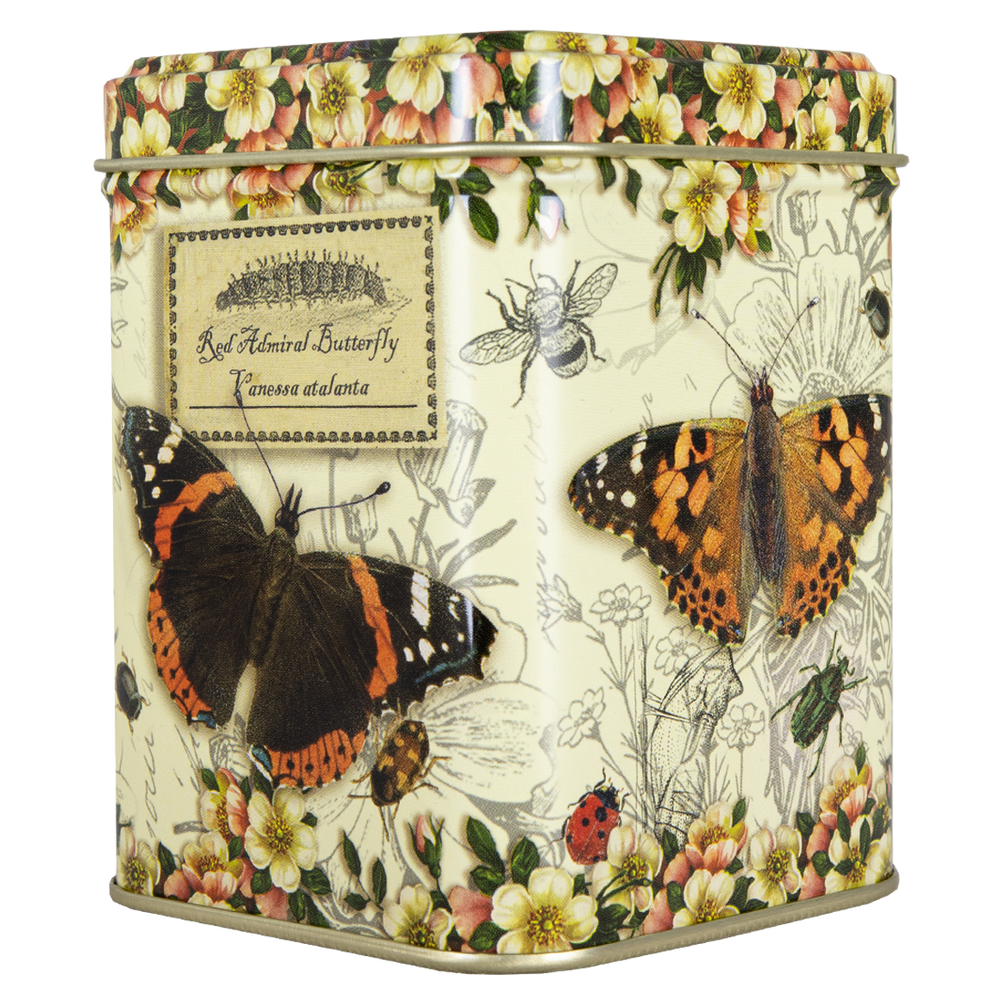 VINTAGE BUTTERFLY