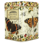 VINTAGE BUTTERFLY